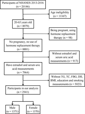 Associations between estradiol and hyperuricemia and the mediating effects of TC, TG, and TyG: NHANES 2013–2016